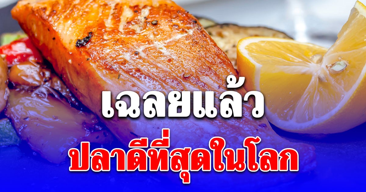 เฉลยแล้ว ปลาดีที่สุดในโลก ที่แท้เรากินประจำ