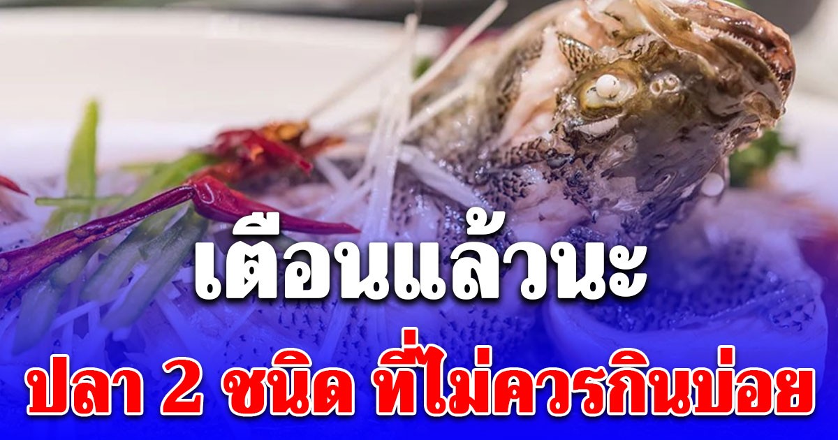 ดูไว้นะ ปลา 2 ชนิด ที่ไม่ควรกินบ่อย เพราะเสี่ยงต่อการสะสมยาปฏิชีวนะและโลหะหนักในร่างกาย