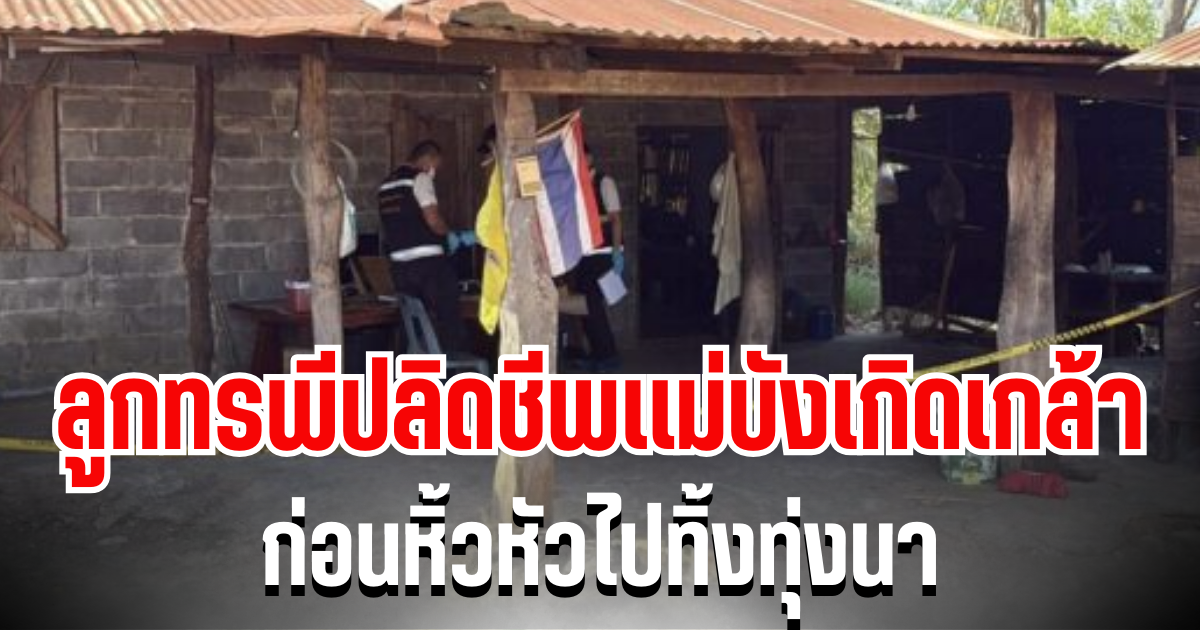 ลูกทรพีเหี้ยม! ลงมือปลิดชีพเเม่บังเกิดเกล้า ก่อนหิ้วหัวไปทิ้งทุ่งนา