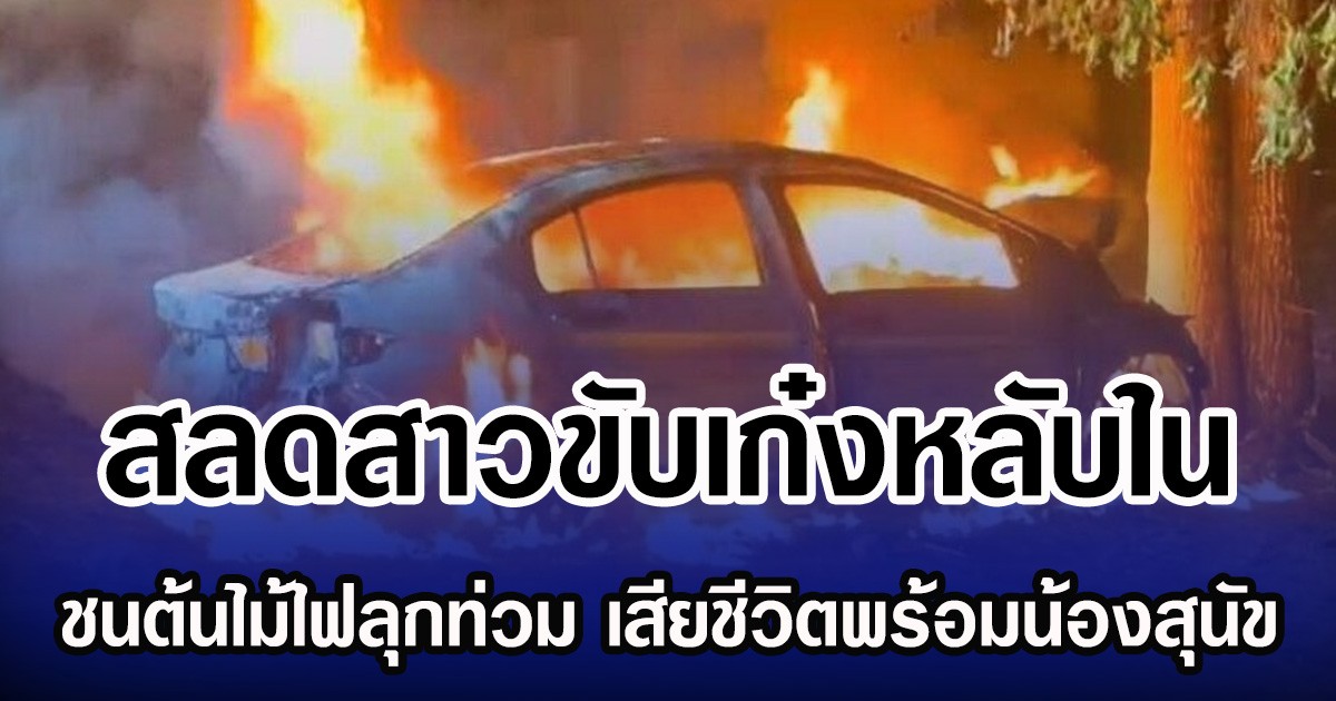 สลดสาวขับเก๋งหลับใน ชนต้นไม้ไฟลุกท่วม เสียชีวิตพร้อมน้องสุนัข