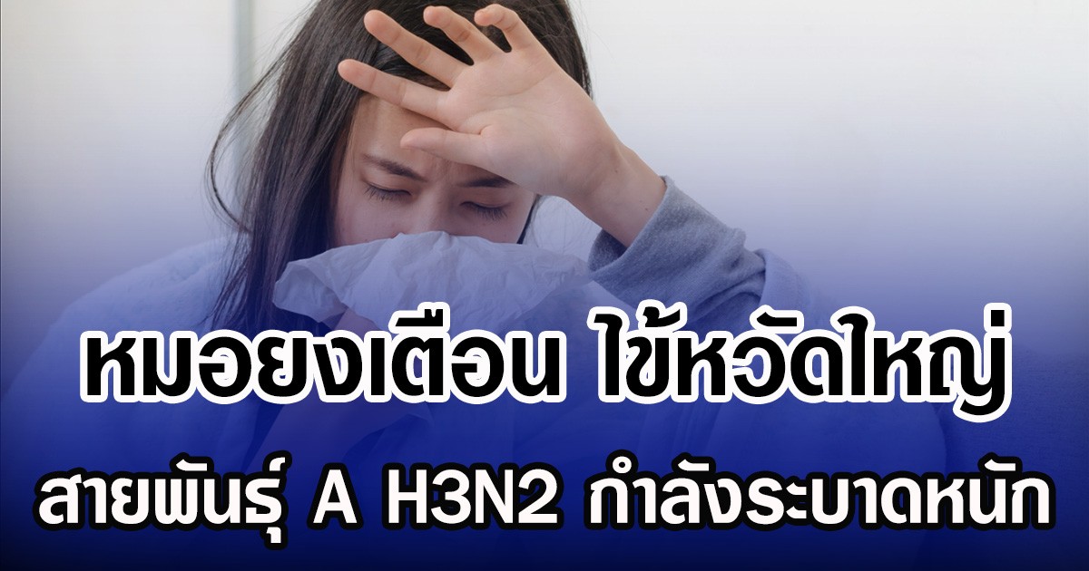 หมอยงเตือน ไข้หวัดใหญ่ สายพันธุ์ A H3N2 กำลังระบาดหนัก