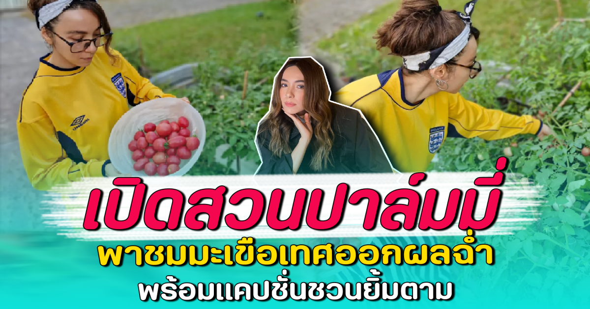 เปิดสวนปาล์มมี่ พาชมมะเขือเทศออกผลฉ่ำ พร้อมแคปชั่นชวนยิ้มตาม