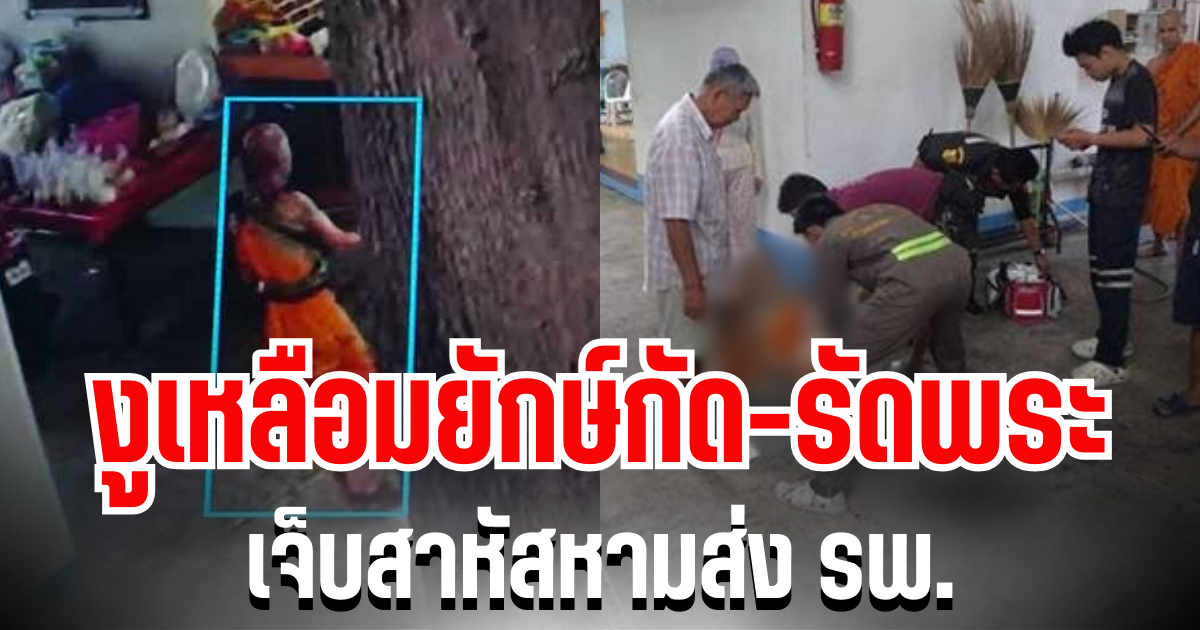 หวิดดับ! เล่านาทีสุดระทึก งูเหลือมยักษ์กัด-รัดพระ เจ็บสาหัสหามส่ง รพ.