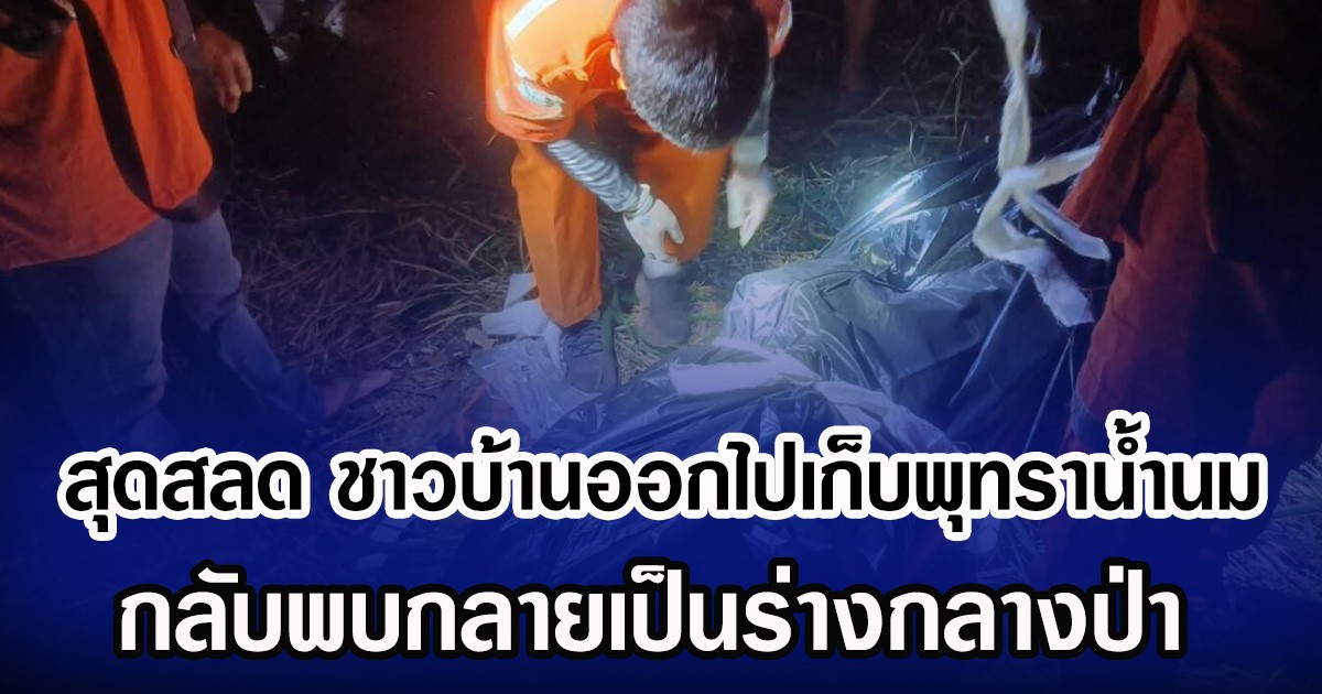 สุดสลด ชาวบ้านออกไปเก็บพุทราน้ำนม กลับพบกลายเป็นร่างกลางป่า