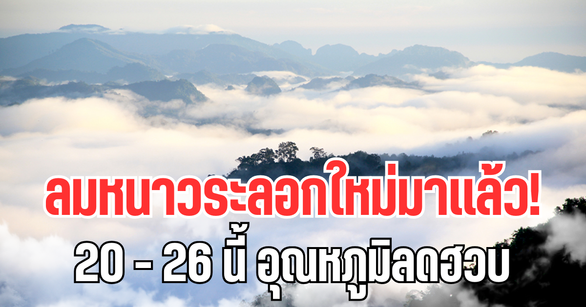 ลมหนาวระลอกใหม่มาเเล้ว! 20-26 นี้  อุณหภูมิลดฮวบ เปิดพื้นที่โดนเต็ม ๆ