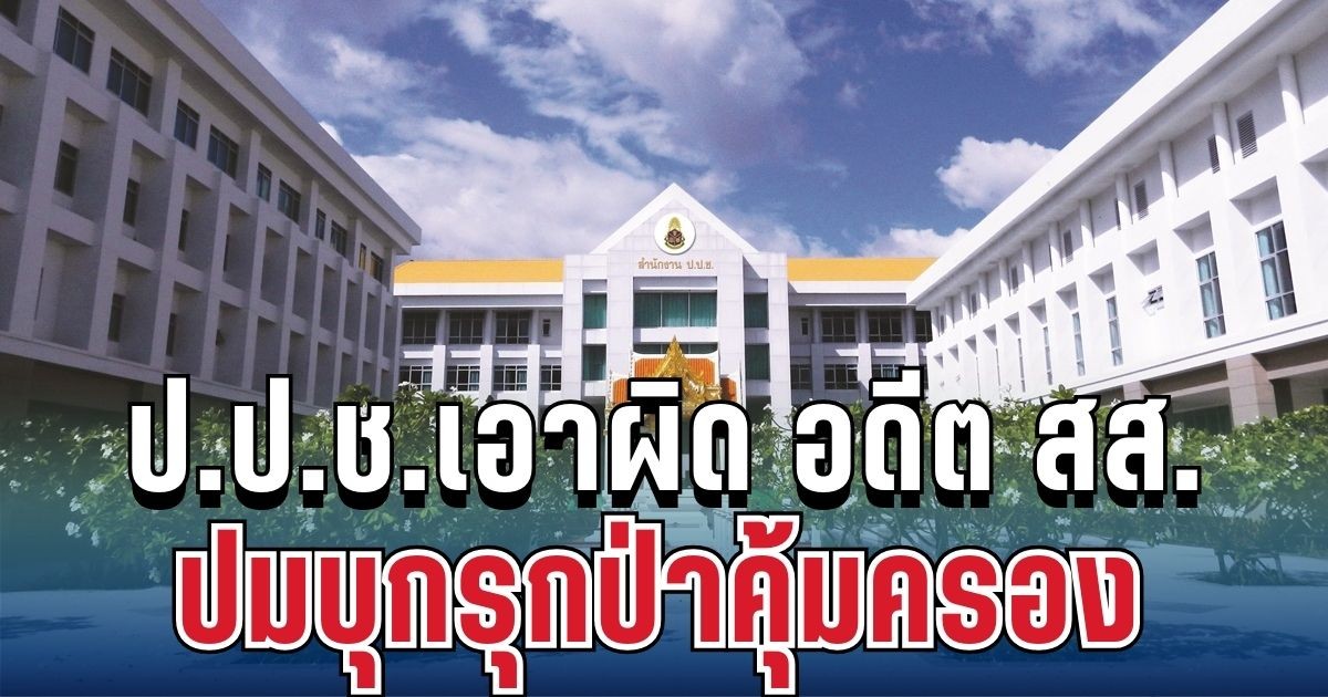 ไม่รอด! ป.ป.ช.เอาผิด อดีต สส.จันทบุรี พรรคดัง แล้ว ปมบุกรุกป่าคุ้มครอง