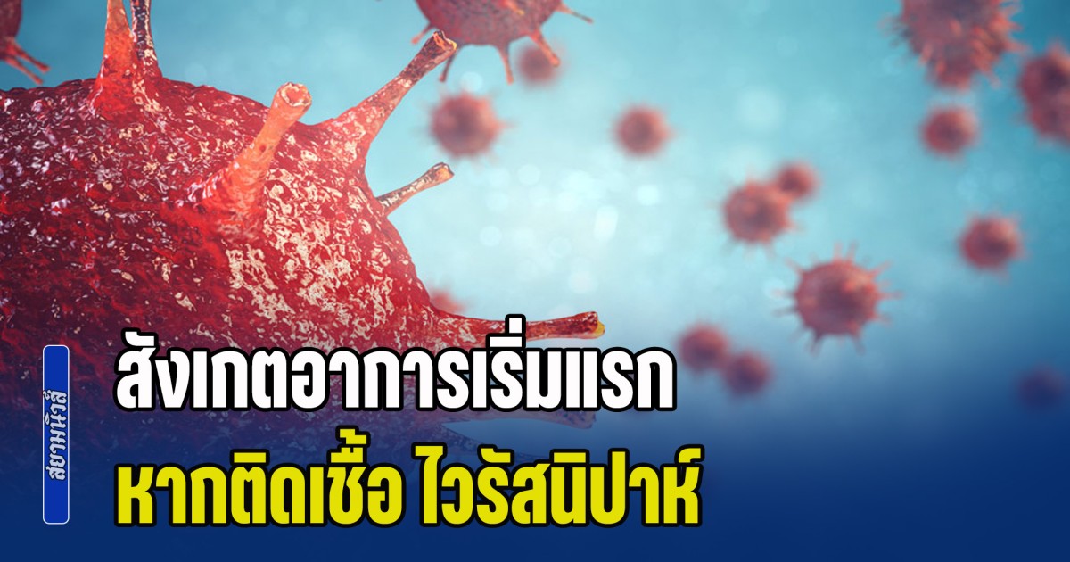 วิธีสังเกตอาการเริ่มแรก หากติดเชื้อ ไวรัสนิปาห์ อัตราการเสียชีวิตประมาณ 40%