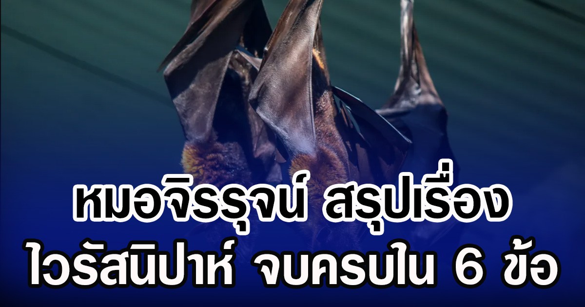 หมอจิรรุจน์ สรุปเรื่อง ไวรัสนิปาห์ จบครบใน 6 ข้อ