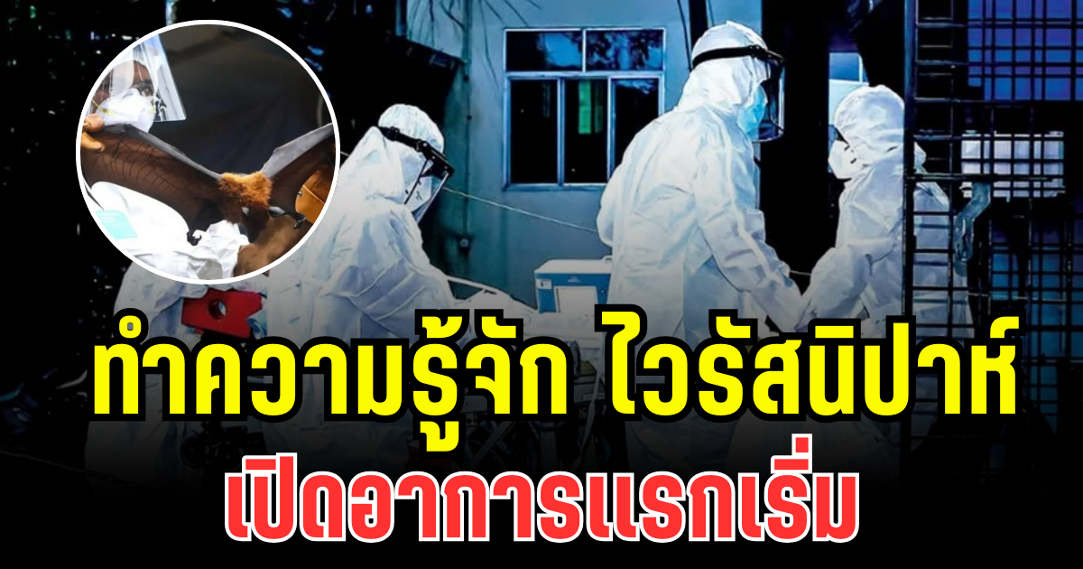 น่ากลัวมาก! ทำความรู้จัก ไวรัสนิปาห์ เปิดอาการเเรกเริ่ม