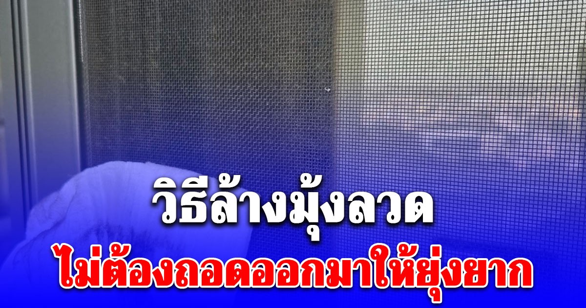 กูรูงานบ้านแนะนำ ของ 2 อย่าง ล้างมุ้งลวด ไม่ต้องถอดออกมาให้ยุ่งยาก