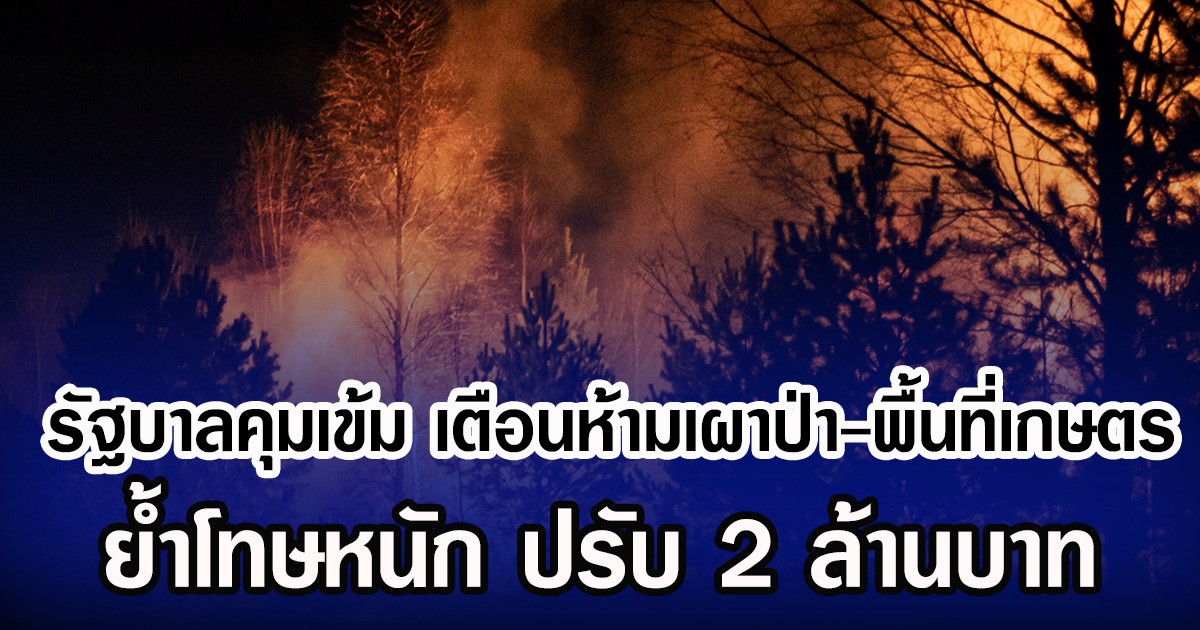 รัฐบาลคุมเข้ม เตือนห้ามเผาป่า-พื้นที่เกษตร ยํ้าโทษหนัก ปรับ 2 ล้านบาท