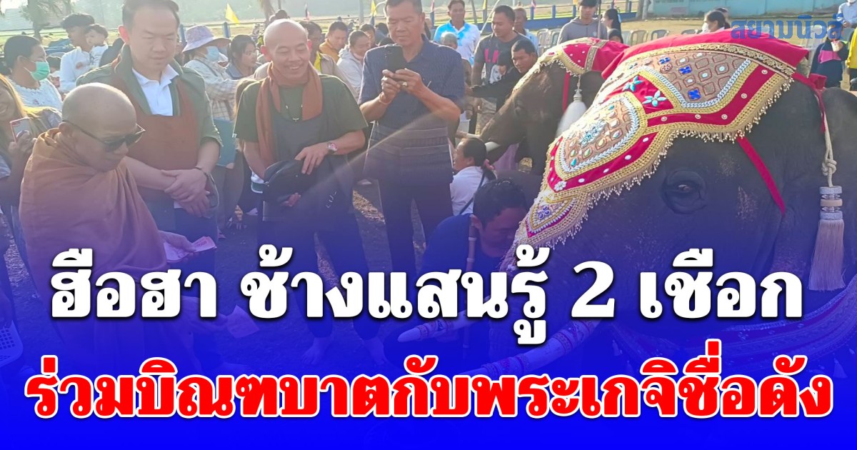 ฮือฮาช้างแสนรู้ 2 เชือกร่วมบิณฑบาตกับพระเกจิชื่อดัง แห่ส่องเลขทะเบียนรภป้ายแดง