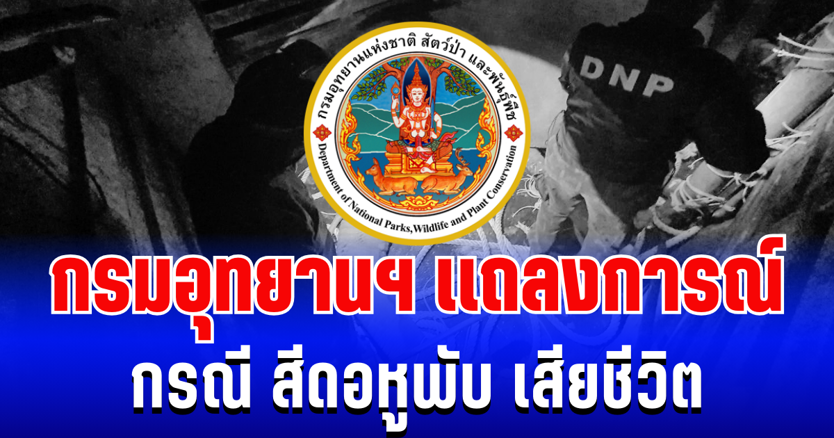 กรมอุทยานฯ เเถลงการณ์ทันที หลัง สีดอหูพับ เสียชีวิตระหว่างเคลื่อนย้าย