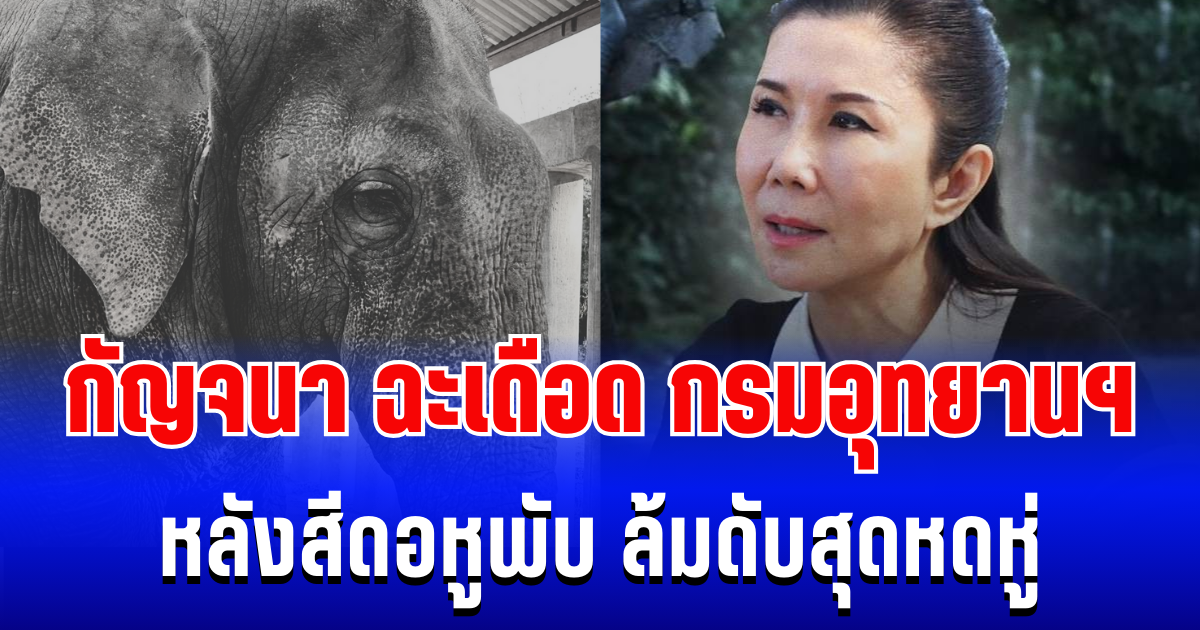 ไม่ไว้หน้า! กัญจนา ฉะเดือด กรมอุทยานฯ หลังสีดอหูพับ ล้มดับสุดหดหู่