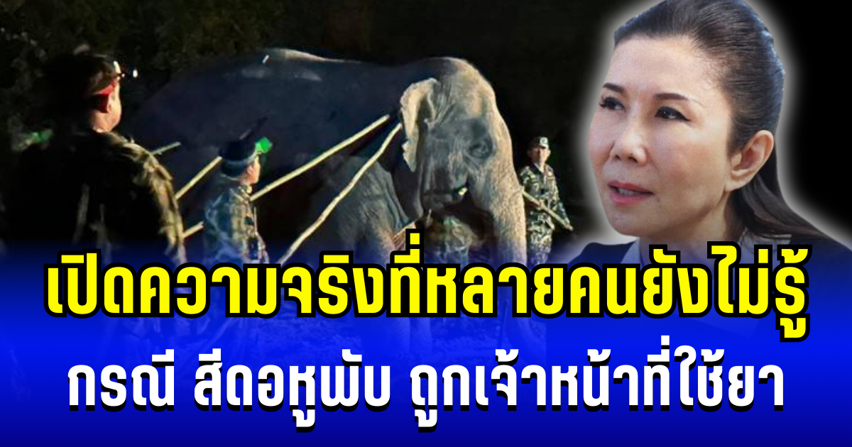 เปิดอีกมุม! กัญจนา เผยความจริงที่หลายคนยังไม่รู้ กรณี สีดอหูพับ ถูกเจ้าหน้าที่ใช้ยา