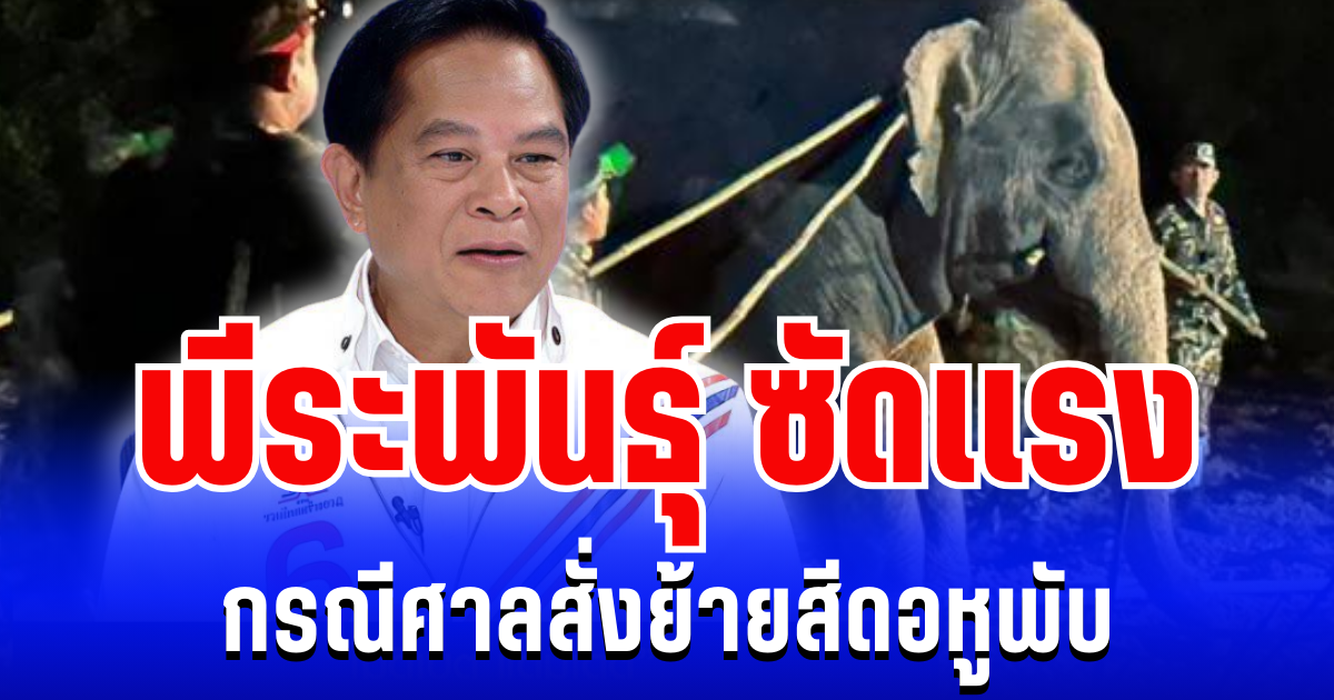 เดือด! พีระพันธุ์ ซัดเเรง กรณีศาลสั่งย้ายสีดอหูพับ