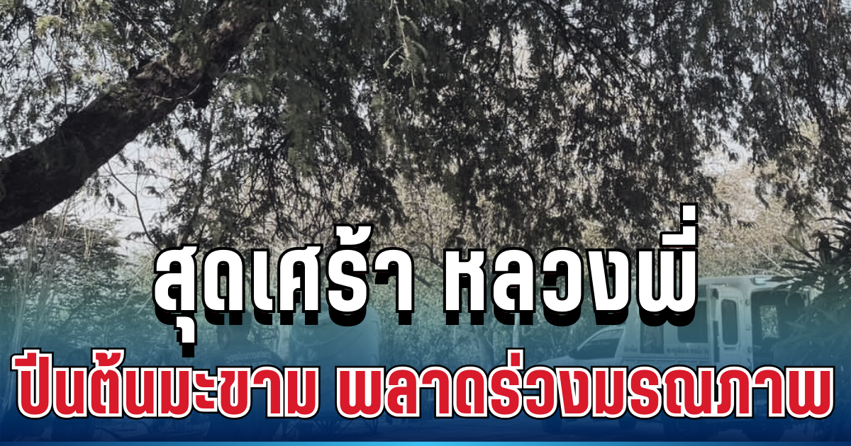 สุดเศร้า หลวงพี่ อยากฉันมะขาม ปีนสะดุดพลาดร่วงมรณภาพ