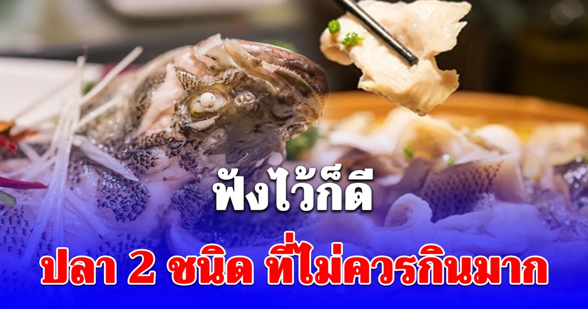 ปลา 2 ชนิด ที่ไม่ควรกินมาก เพราะอาจรับยาปฏิชีวนะและโลหะหนักเข้าสู่ร่างกาย