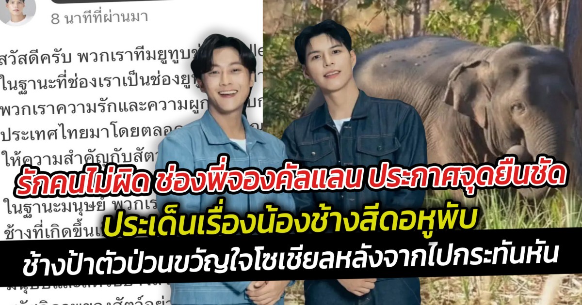 รักคนไม่ผิด ช่องพี่จองคัลแลน ประกาศจุดยืนชัด ประเด็นเรื่องน้องช้างสีดอหูพับ