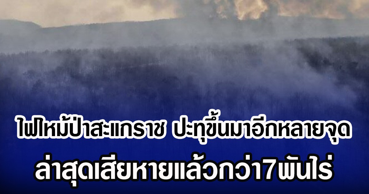 ไฟไหม้ป่าสะแกราช ปะทุขึ้นมาอีกหลายจุด ล่าสุดเสียหายแล้วกว่า7พันไร่