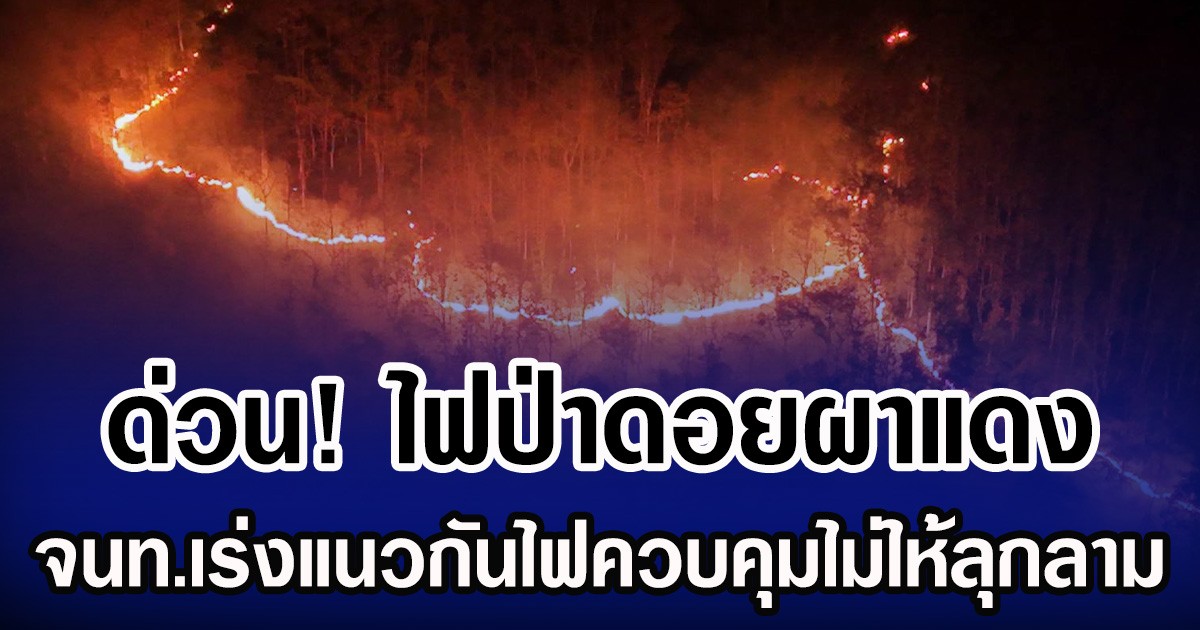 ด่วน! ไฟป่าดอยผาแดง อ.แม่ออน เชียงใหม่ เร่งแนวกันไฟควบคุมไม่ให้ลุกลาม