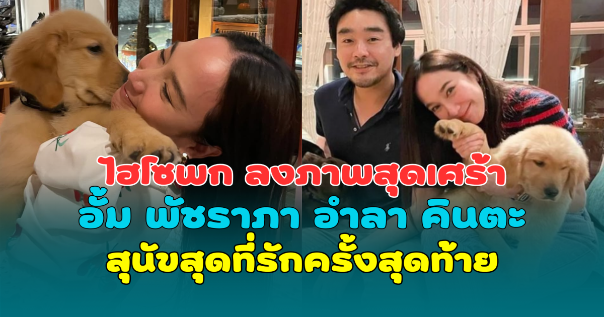 ใจหาย! ไฮโซพก ลงภาพสุดเศร้า อั้ม พัชราภา อำลา คินตะ สุนัขสุดที่รักครั้งสุดท้าย