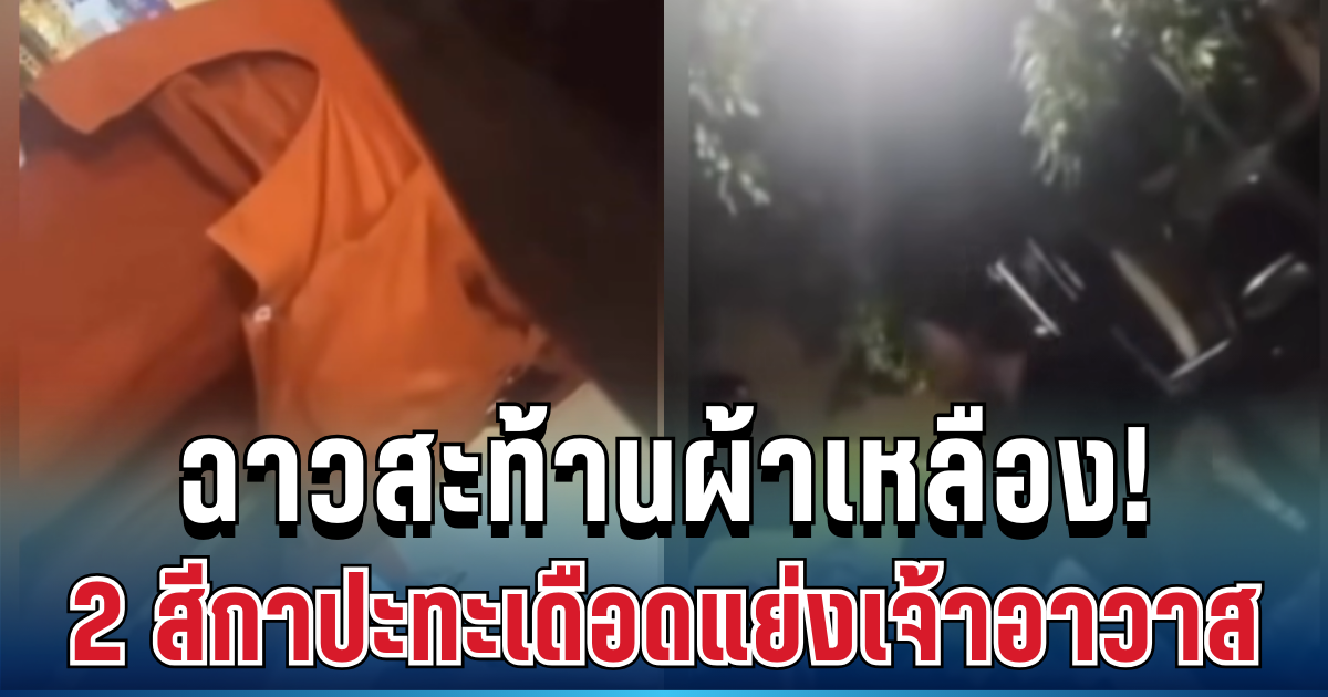 ฉาวสะท้านผ้าเหลือง! 2 สีกาปะทะเดือดแย่งเจ้าอาวาส พยานแก้ต่างหนังคนละม้วน