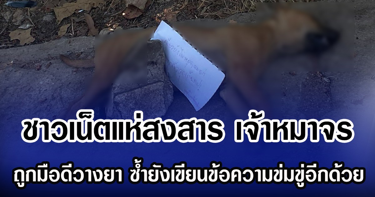 ชาวเน็ตแห่สงสาร เจ้าหมาจร ถูกมือดีวางยา ซํ้ายังเขียนข้อความข่มขู่อีกด้วย