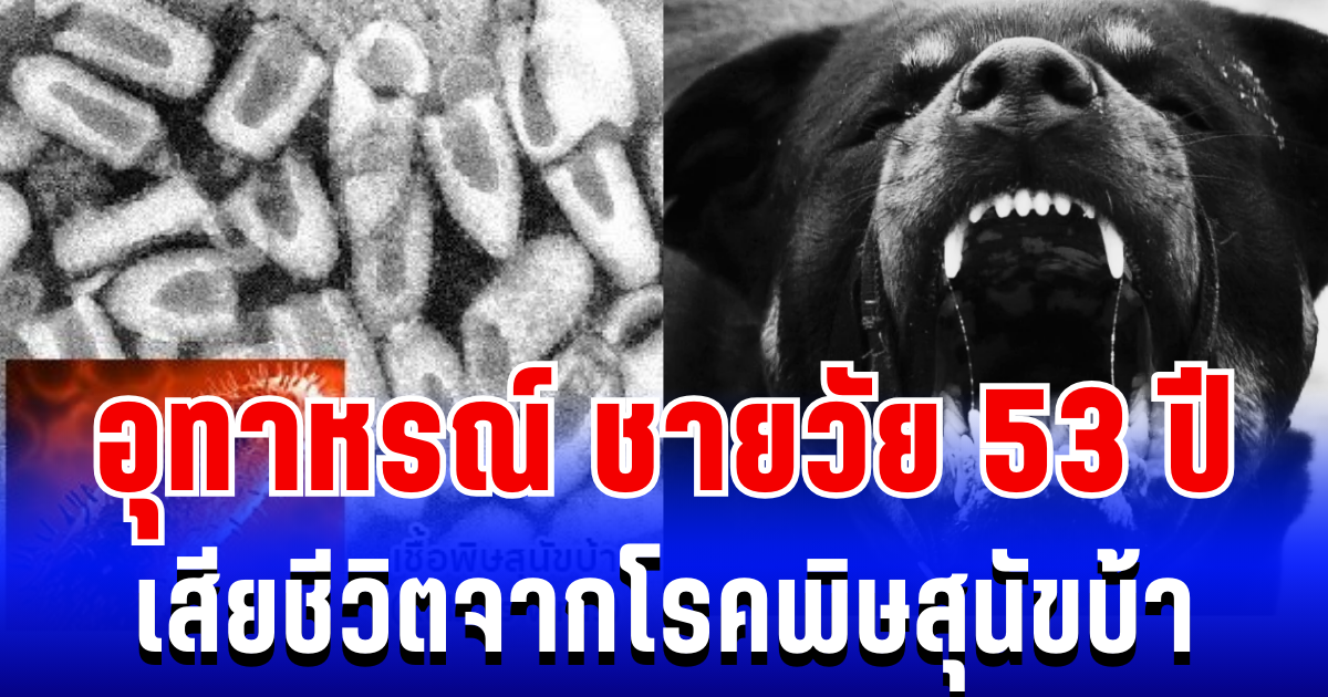 อุทาหรณ์! ชายวัย 53 ปี เสียชีวิตจากโรคพิษสุนัขบ้า แพทย์เผยอาการเเรกเริ่ม