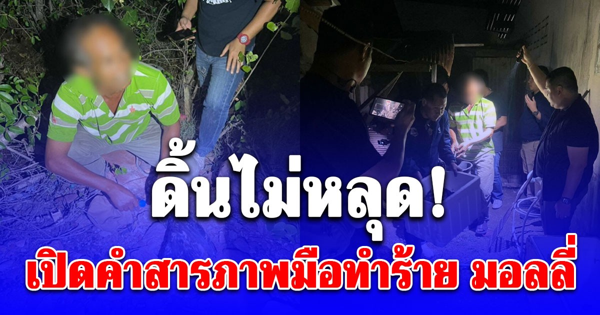 ดิ้นไม่หลุด! เปิดคำสารภาพหนุ่มใหญ่พัทลุง สาเหตุแท้จริง ลงมือเผา มอลลี่