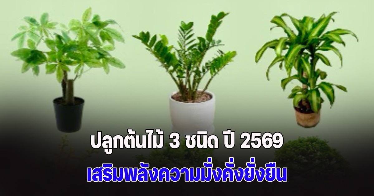 โหรฯ ดัง แนะปลูกต้นไม้ 3 ชนิด ปี 2569 เสริมพลังความมั่งคั่งยั่งยืน ปัดเป่าพลังร้าย