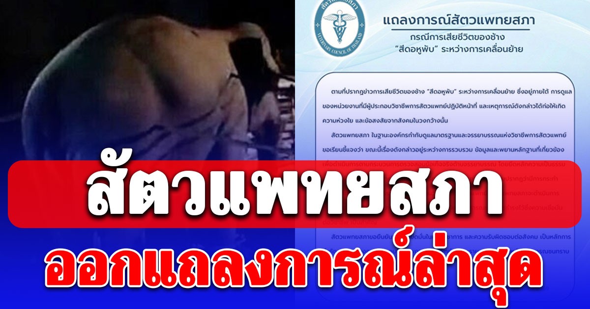 สัตวแพทยสภา ออกแถลงการณ์ล่าสุด กรณีสีดอหูพับล้ม