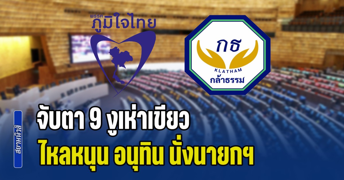 สะพัด! จับตา 9 งูเห่าเขียว ไหลหนุน อนุทิน นั่งนายกฯ