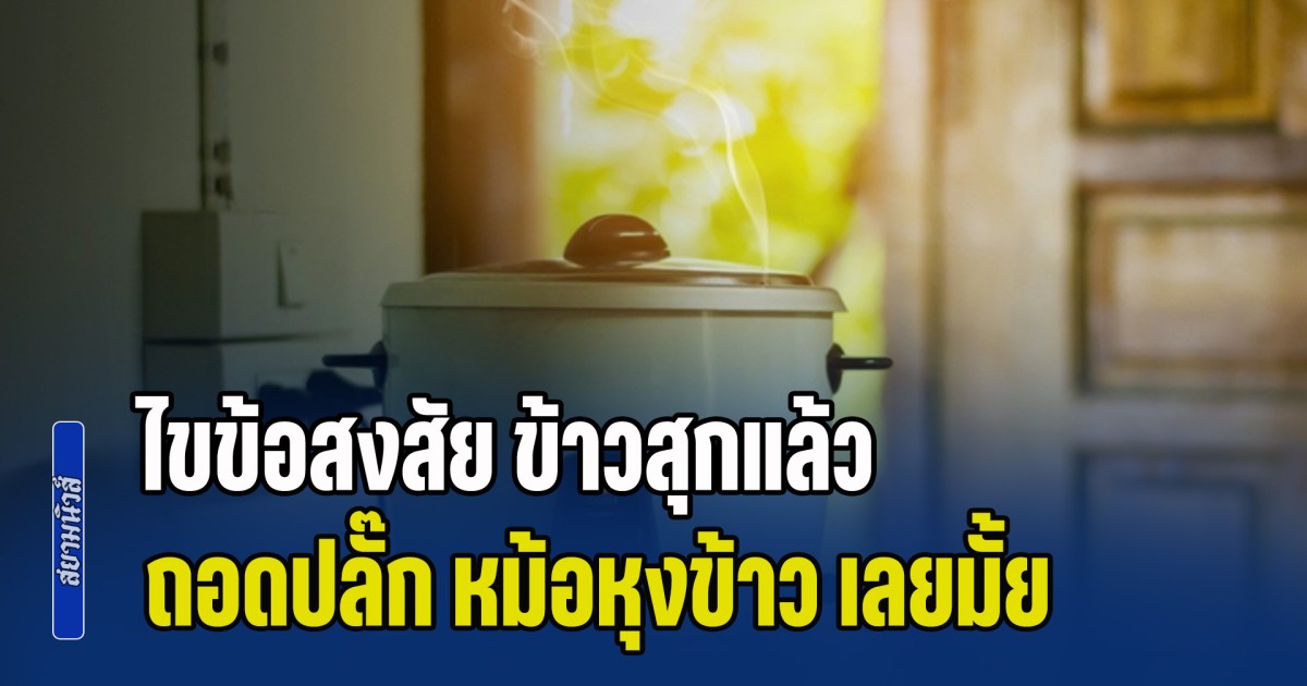 ไขข้อสงสัย ข้าวสุกแล้ว ต้อง ถอดปลั๊ก หม้อหุงข้าว เลยมั้ย หลายคนอาจทำผิดมาโดยตลอด