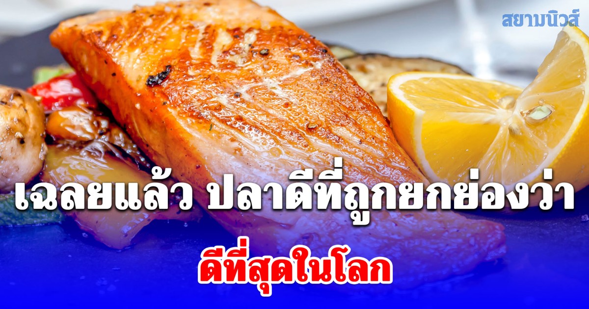 เฉลยแล้ว ปลาดีที่ถูกยกย่องว่า ดีที่สุดในโลก แท้จริงแล้วเป็นปลาที่คุ้นเคยในบ้านเรา