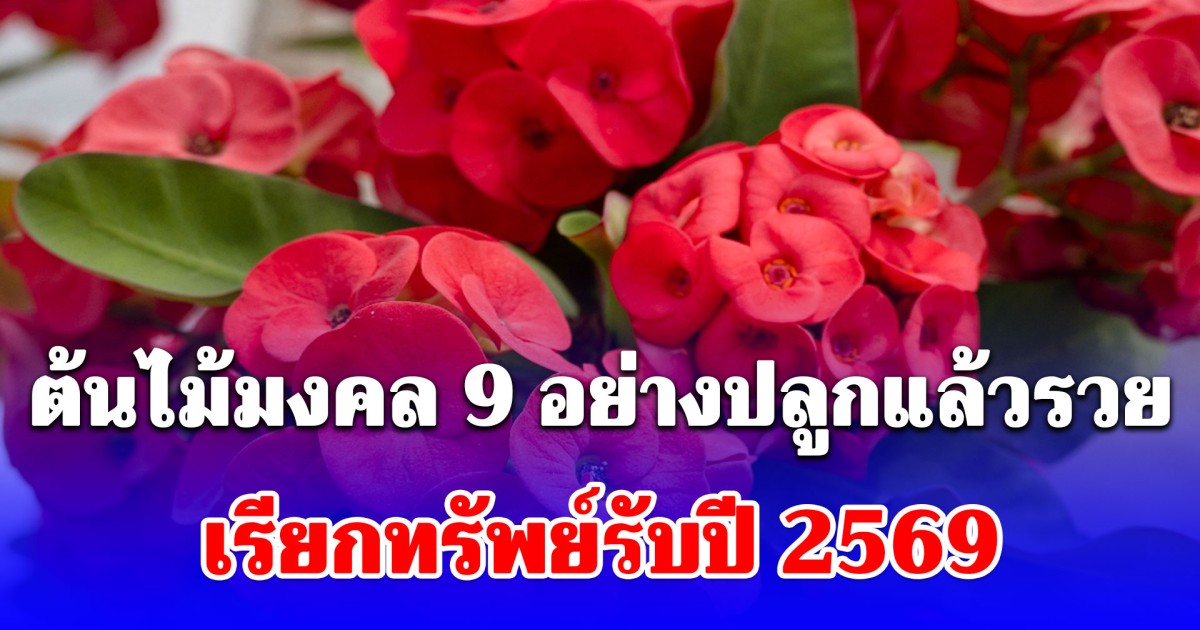 9 ต้นไม้มงคล เรียกทรัพย์รับปี 2569