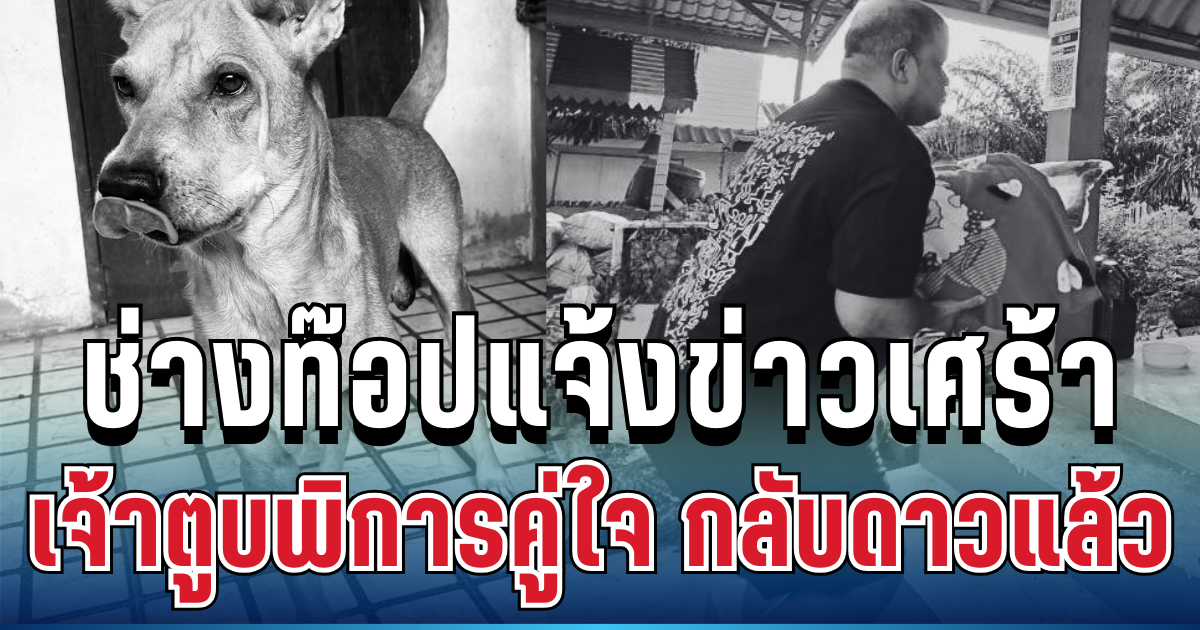 สุดบีบหัวใจ! ช่างท๊อปแจ้งข่าวเศร้า ชายใหญ่ เจ้าตูบพิการคู่ใจ กลับดาวแล้ว