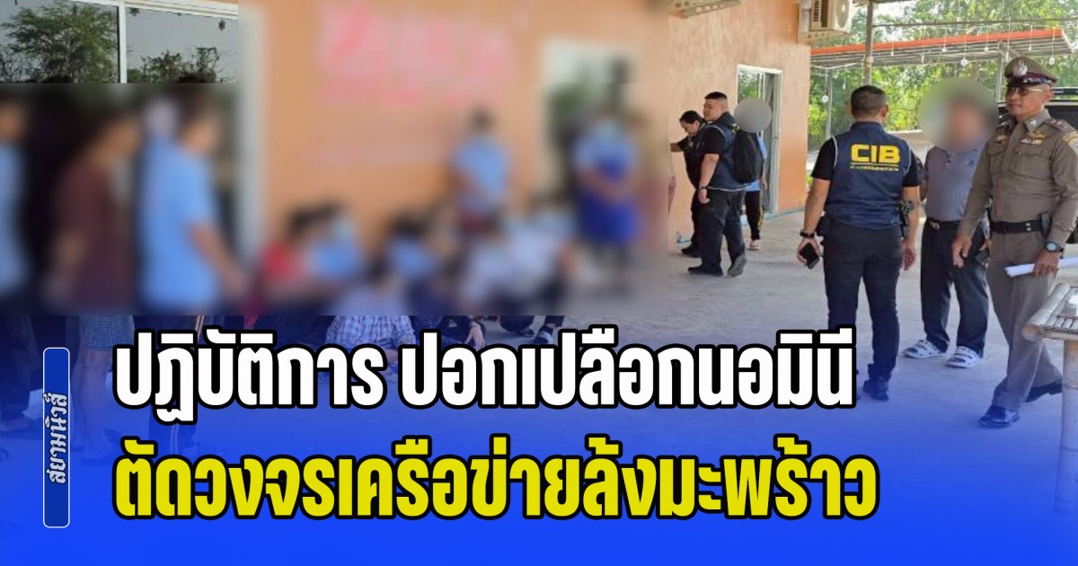 ปฏิบัติการ ปอกเปลือกนอมินี ตัดวงจรเครือข่ายล้งมะพร้าวนอมินีข้ามชาติ