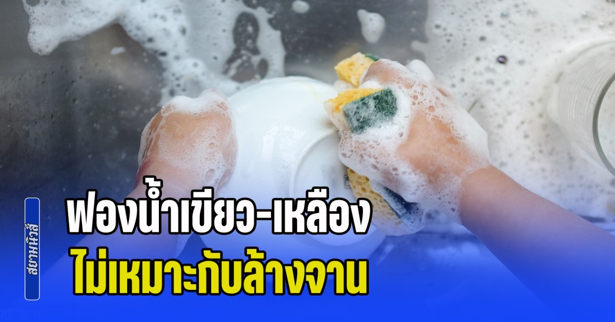 เพิ่งจะรู้ก็วันนี้แหละ! ฟองน้ำเขียว-เหลือง ไม่เหมาะกับล้างจาน เฉลยสีไหนใช้กับอะไรถึงถูกต้อง