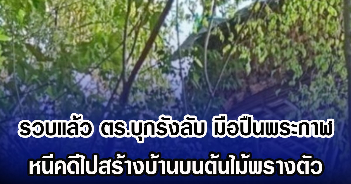 รวบแล้ว ตร.บุกรังลับ มือปืนพระกาฬ หนีคดีไปสร้างบ้านบนต้นไม้พรางตัว