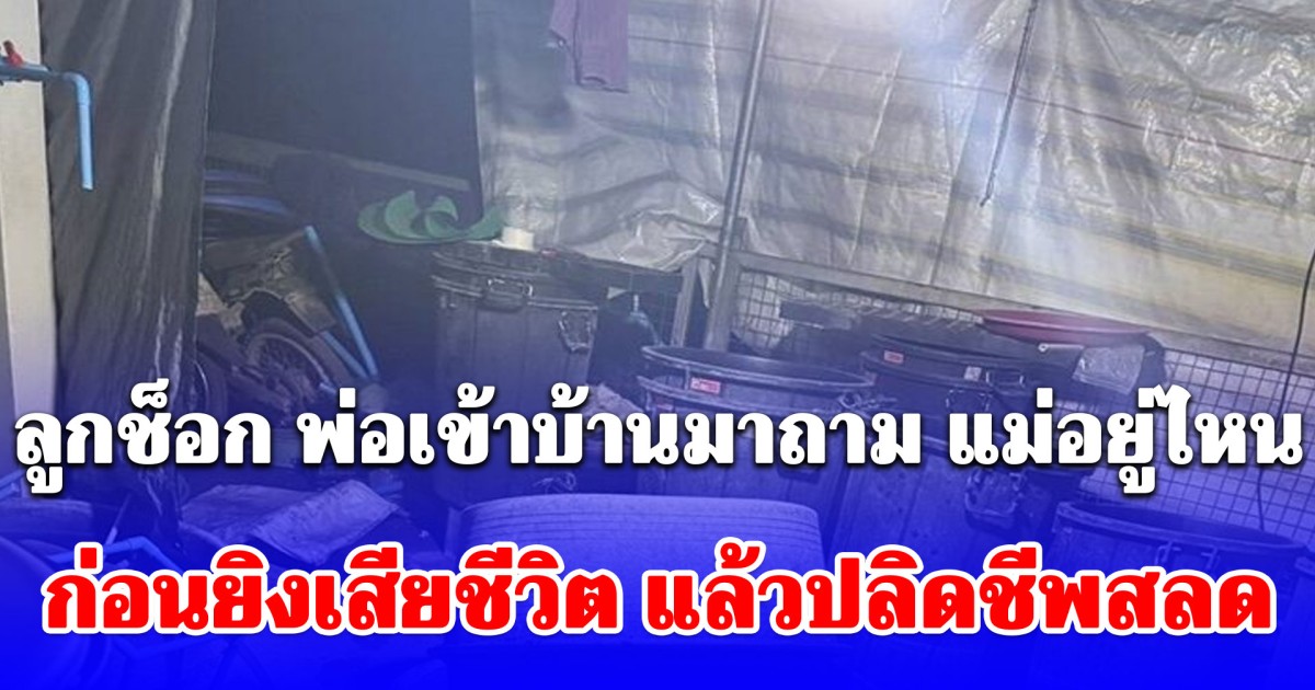 ลูกช็อก พ่อเข้าบ้านมาถาม แม่อยู่ไหน ก่อนปรี่เข้าไปยิงเสียชีวิตต่อหน้า แล้วปลิดชีพตาม