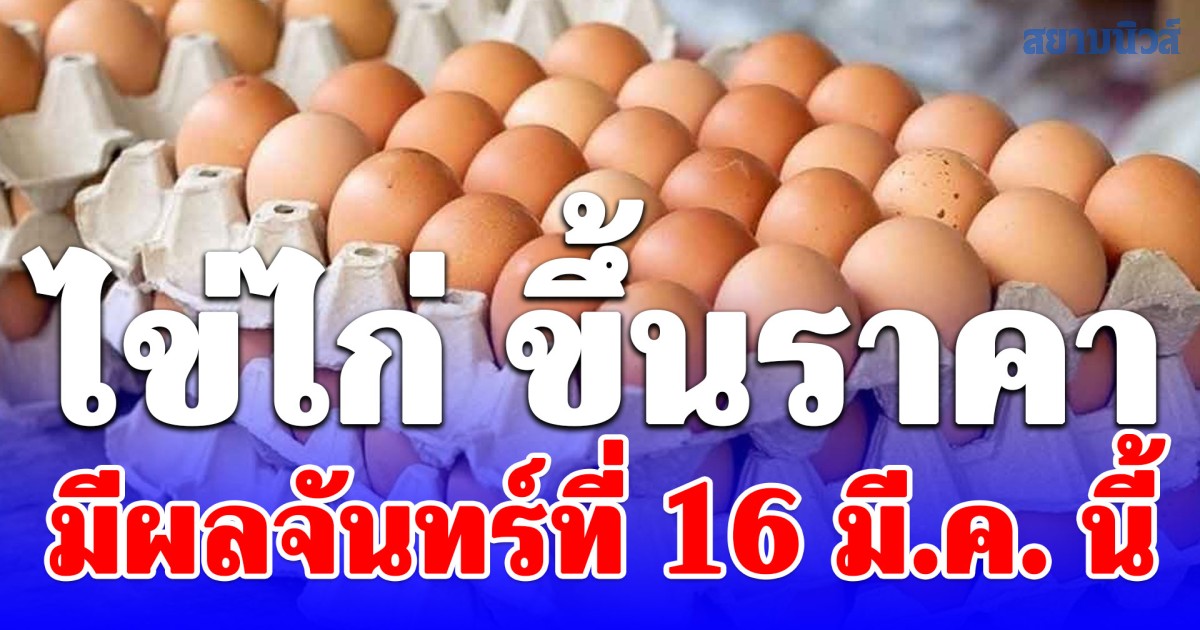 ไข่ไก่ ขึ้นราคา มีผลจันทร์ที่ 16 มี.ค. นี้