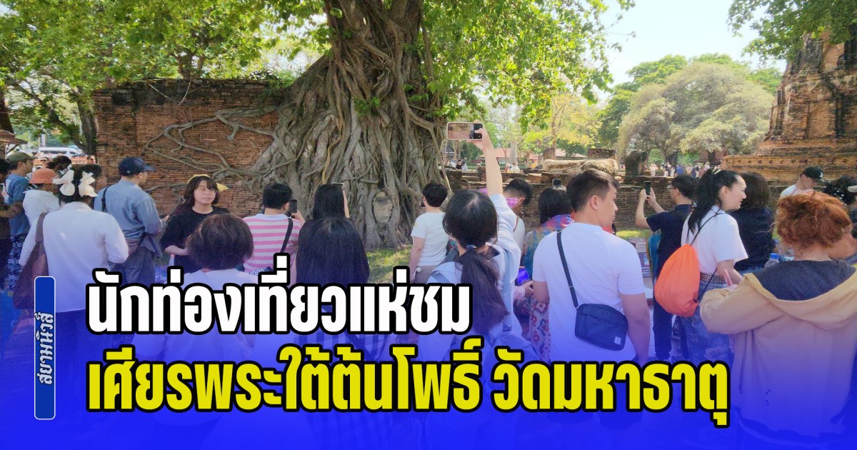 นักท่องเที่ยวแห่ชม เศียรพระใต้ต้นโพธิ์ วัดมหาธาตุ กรุงเก่า หลังโซเชียลพูดถึงกระแสกัมพูชาสร้างคล้ายกัน