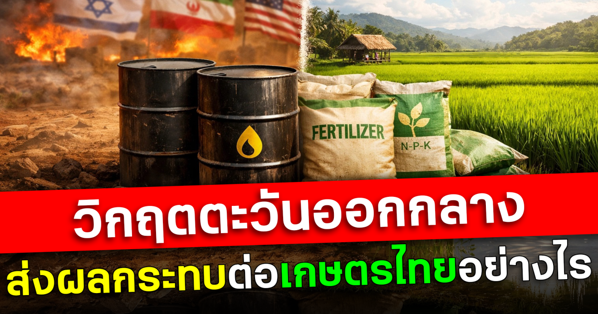 วิกฤตตะวันออกกลาง ส่งผลกระทบต่อเกษตรไทยอย่างไร