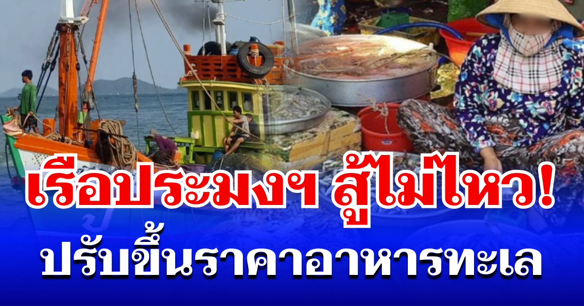 สู้ไม่ไหว! เรือประมงพาณิชย์ ปรับขึ้นราคาอาหารทะเล หลังน้ำมันเขียวพุ่งแรง
