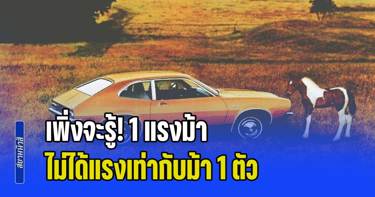 เพิ่งจะรู้! 1 แรงม้า ไม่ได้แรงเท่ากับม้า 1 ตัว หลายคนเข้าใจผิดมานาน