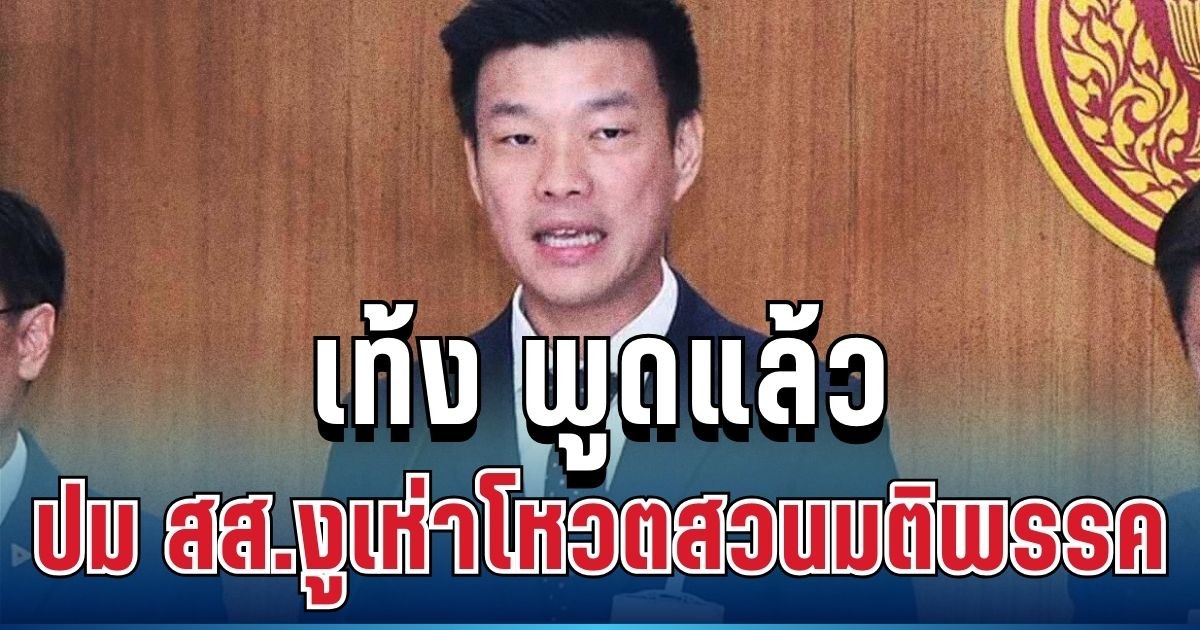 จี๊ดมาก! เท้ง พูดแล้ว ปม สส.งูเห่าโหวตสวนมติพรรค