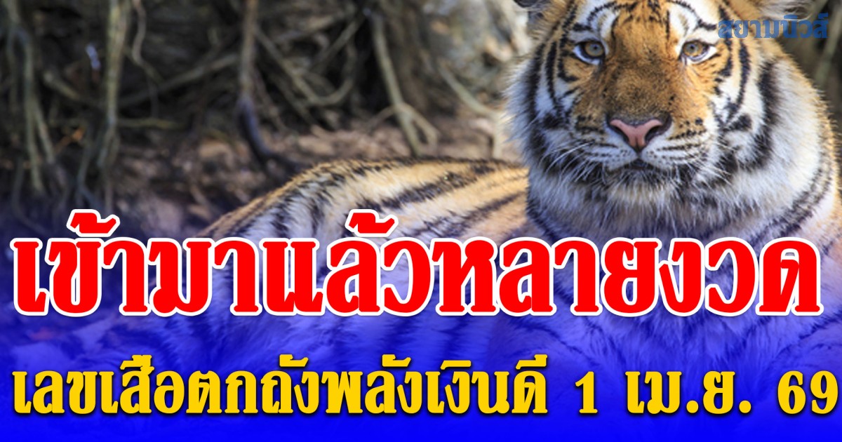 พลาดแล้วจะเสียดาย! เลข เสือตกถังพลังเงินดี 1 เม.ย. 69