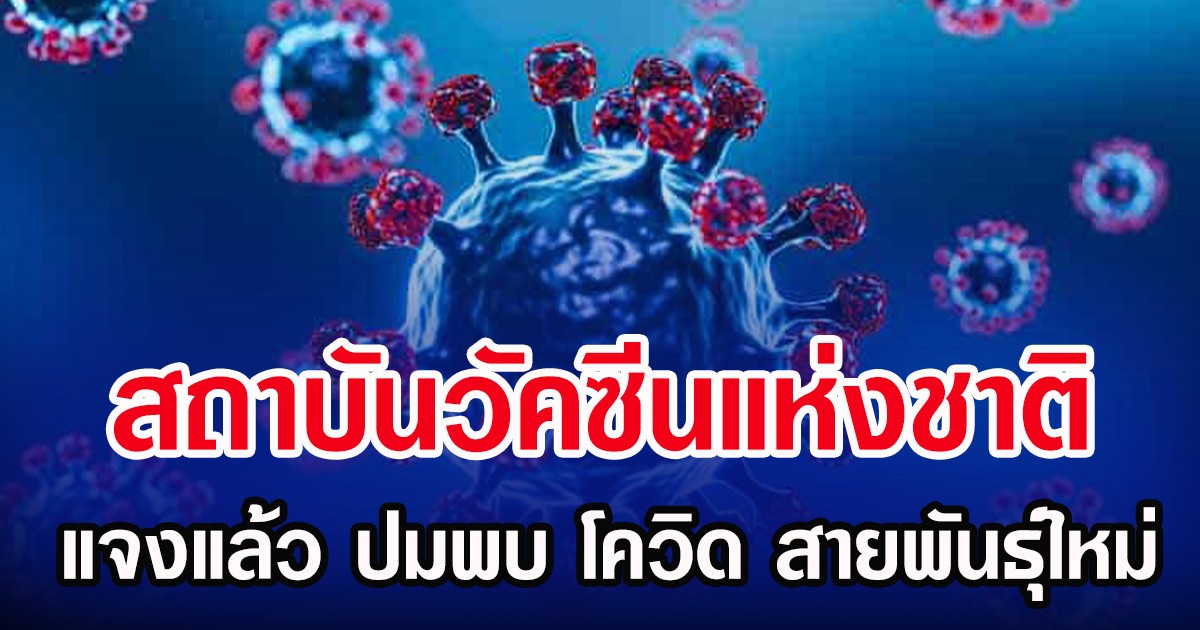สถาบันวัคซีนแห่งชาติ แจงแล้ว ปมพบ โควิด สายพันธุ์ใหม่