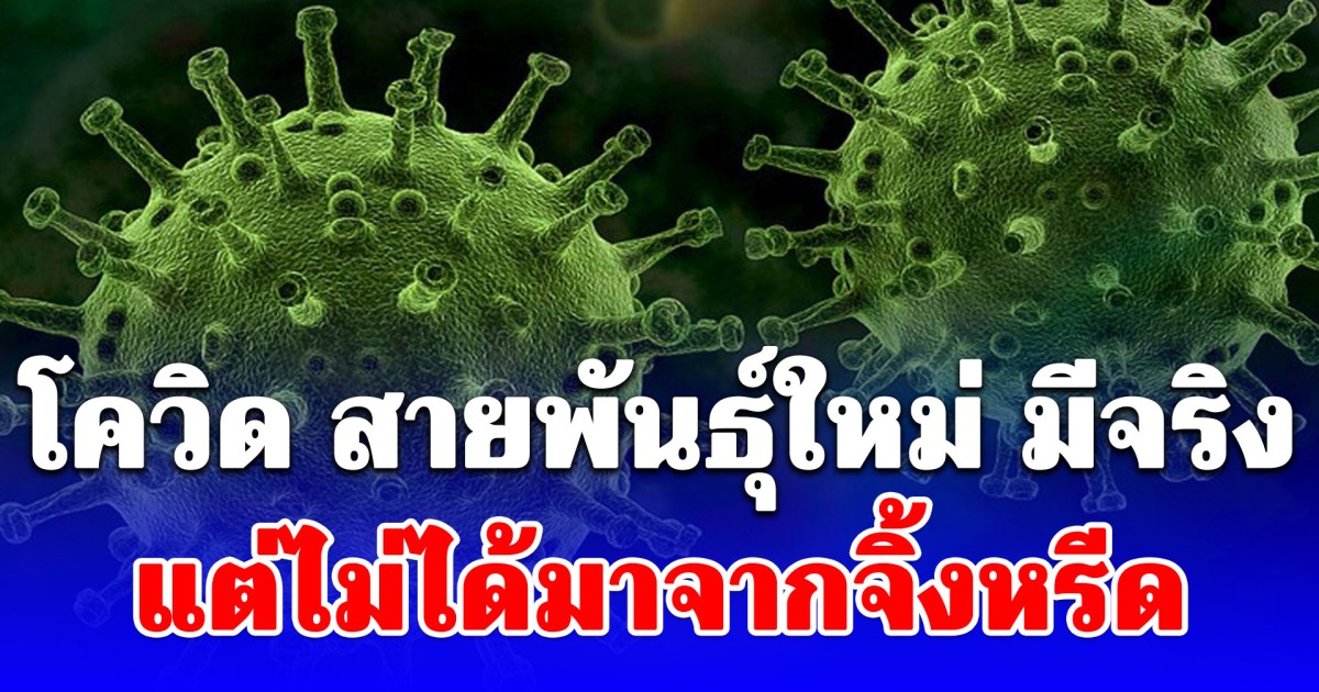 สถาบันวัคซีนแห่งชาติ เผย โควิด สายพันธุ์ใหม่ มีจริง แต่ไม่ได้มาจากจิ้งหรีด